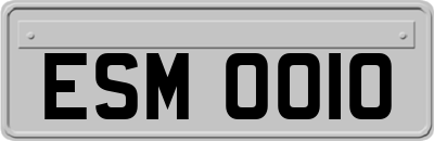 ESM0010