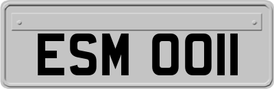ESM0011