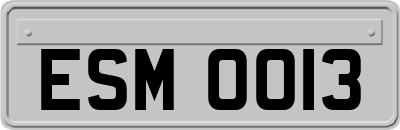 ESM0013