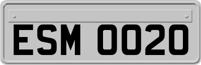 ESM0020