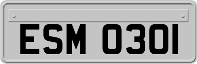 ESM0301