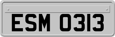 ESM0313