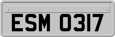 ESM0317