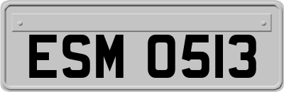 ESM0513