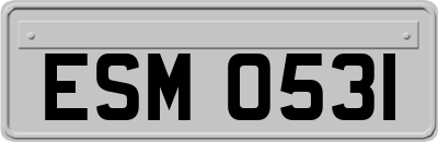 ESM0531