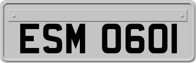 ESM0601