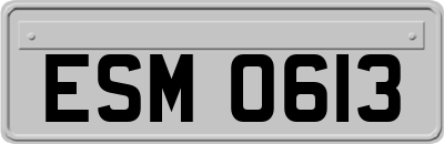 ESM0613