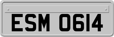 ESM0614