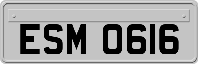 ESM0616