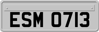 ESM0713