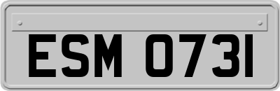 ESM0731