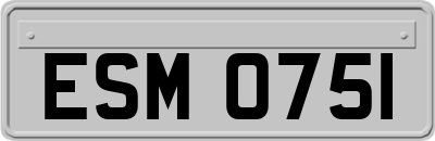 ESM0751