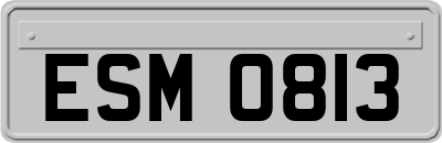ESM0813