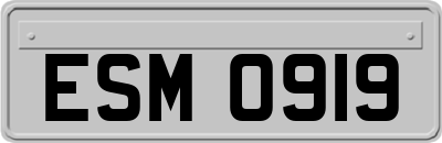 ESM0919