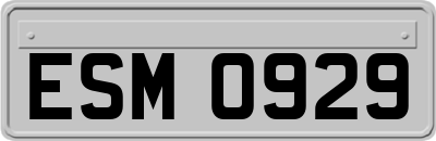 ESM0929