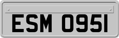 ESM0951