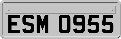 ESM0955