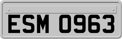 ESM0963