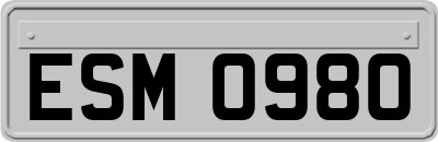 ESM0980