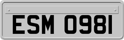 ESM0981