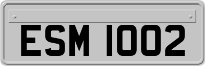 ESM1002