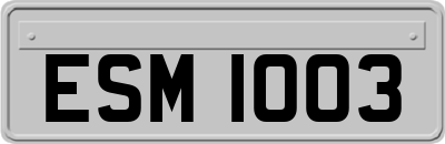 ESM1003