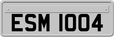 ESM1004