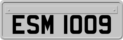 ESM1009