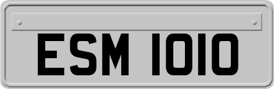 ESM1010