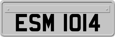 ESM1014