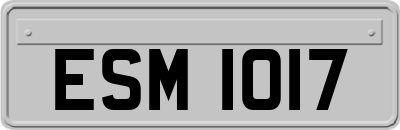 ESM1017