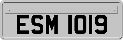 ESM1019