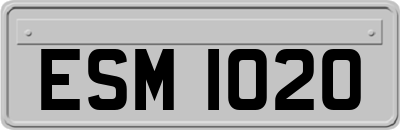 ESM1020
