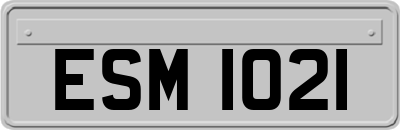 ESM1021