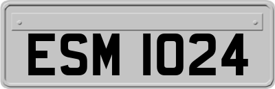 ESM1024