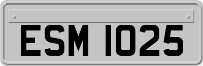 ESM1025