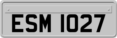ESM1027