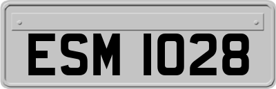 ESM1028