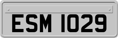 ESM1029
