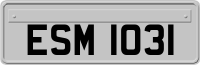 ESM1031