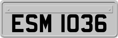 ESM1036