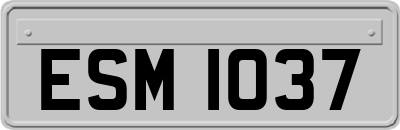 ESM1037
