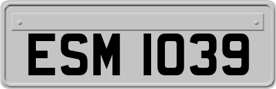 ESM1039