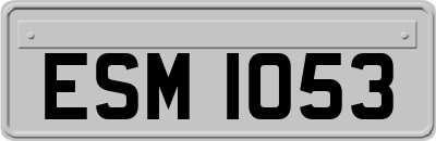 ESM1053