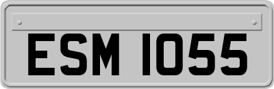 ESM1055
