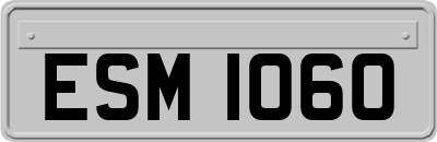 ESM1060