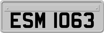 ESM1063
