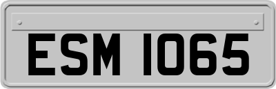 ESM1065