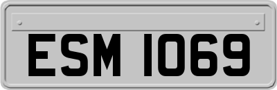 ESM1069