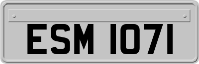 ESM1071
